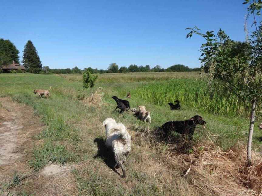 10443047_989182937779383_5124222332560938130_o