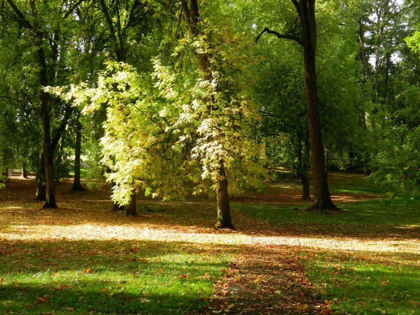 Home Away From&nbsp;Home